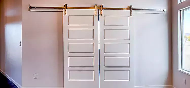 Glass Barn Door with Installation Hardware Kit Richfield