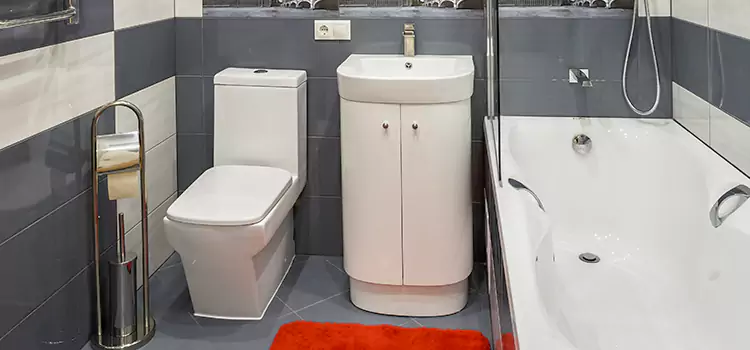 Hansgrohe Shaving Mirror Richfield